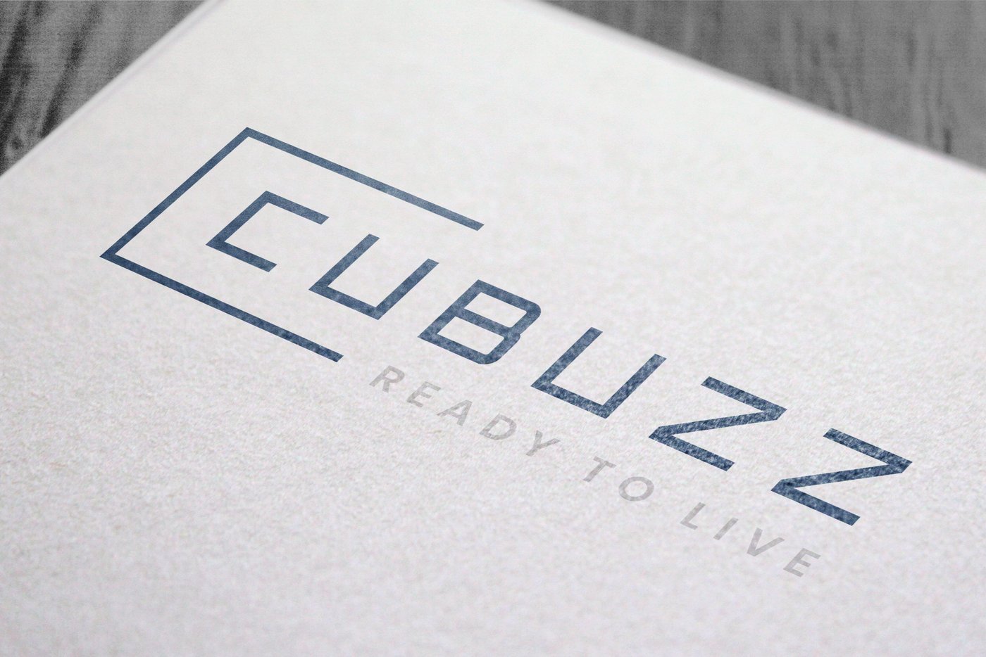 Logo Cubuzz - Kleinkunst
