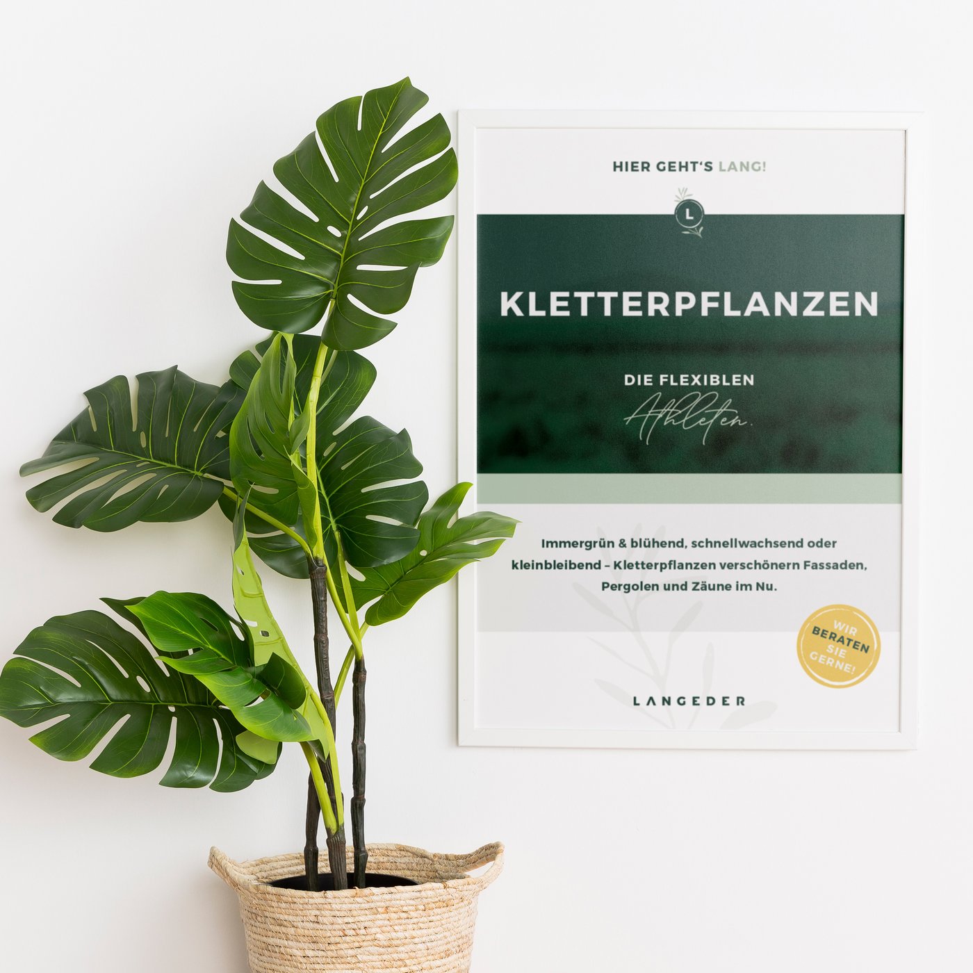 Kletterpflanze Plakat Langeder - Kleinkunst